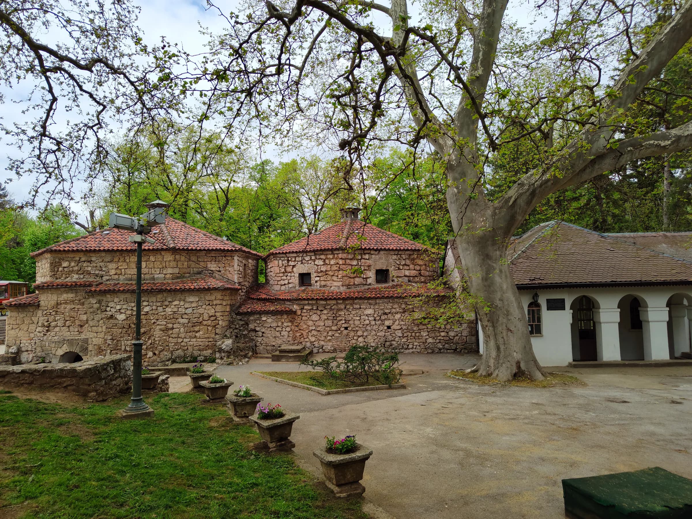 The stone domes of the old Ottoman bathhouse in Sokobanja, beneath a spreading plane tree in spring